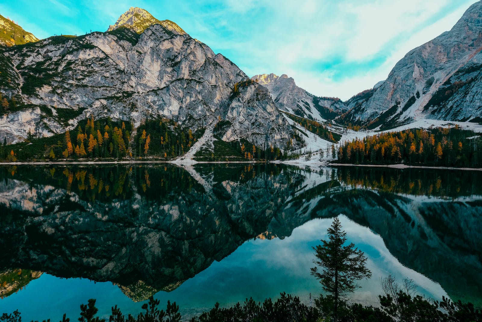 Nature